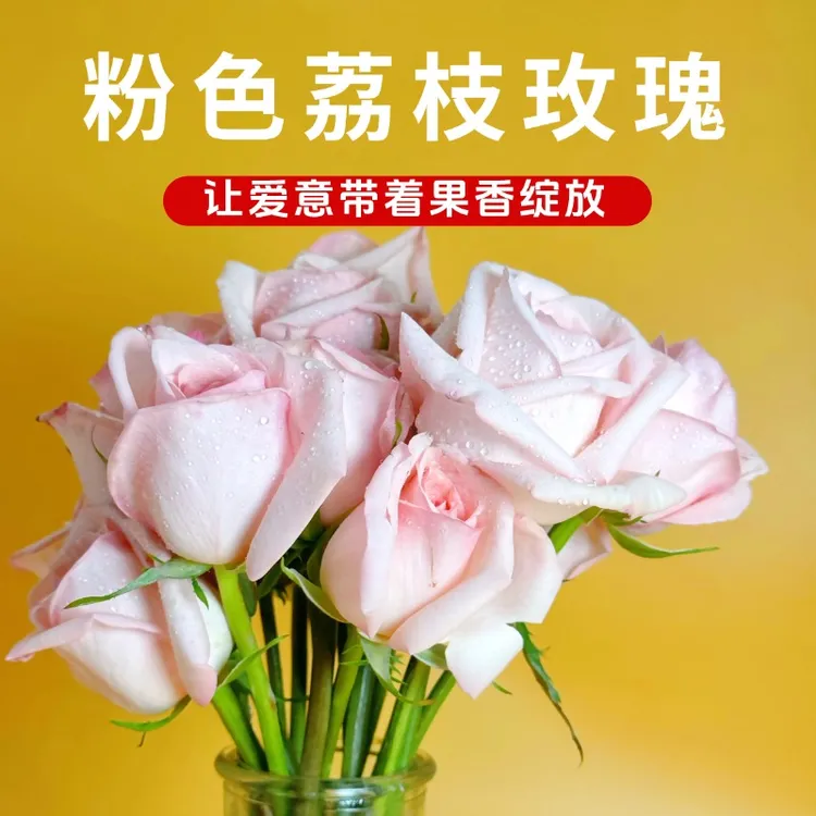 【粉茘枝20支买一送一】云南楚雄玫瑰基地直发鲜花室内办公家居鲜切