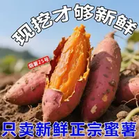 正宗烟薯25号蜜薯超甜糖心红薯新鲜现挖地瓜沙地甜糯番薯批发