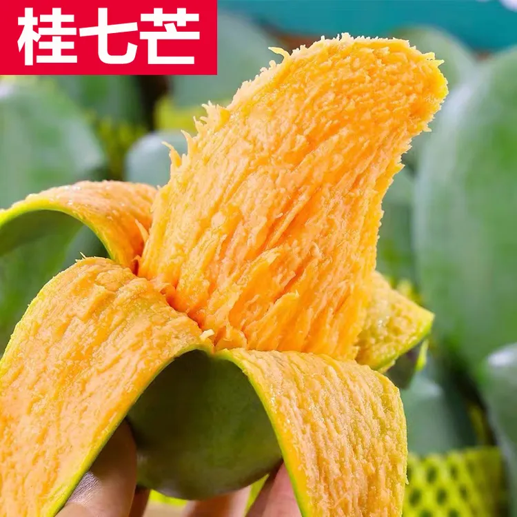 【现摘带小花皮】广西百色桂七芒果带箱6/10斤香甜多汁芒果香芒新鲜
