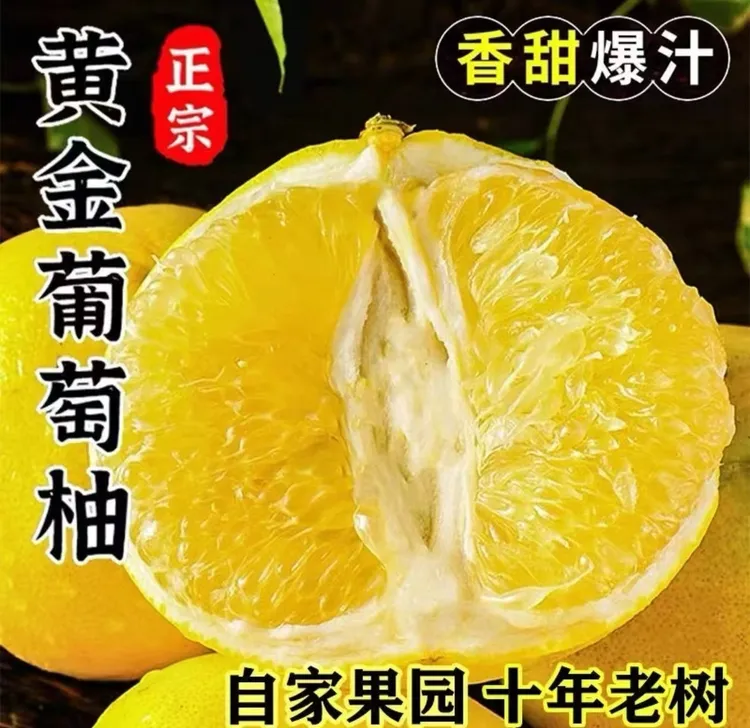 【带枝带叶】福建漳州爆汁纯甜黄金葡萄柚产地直发皮薄肉厚新鲜现摘