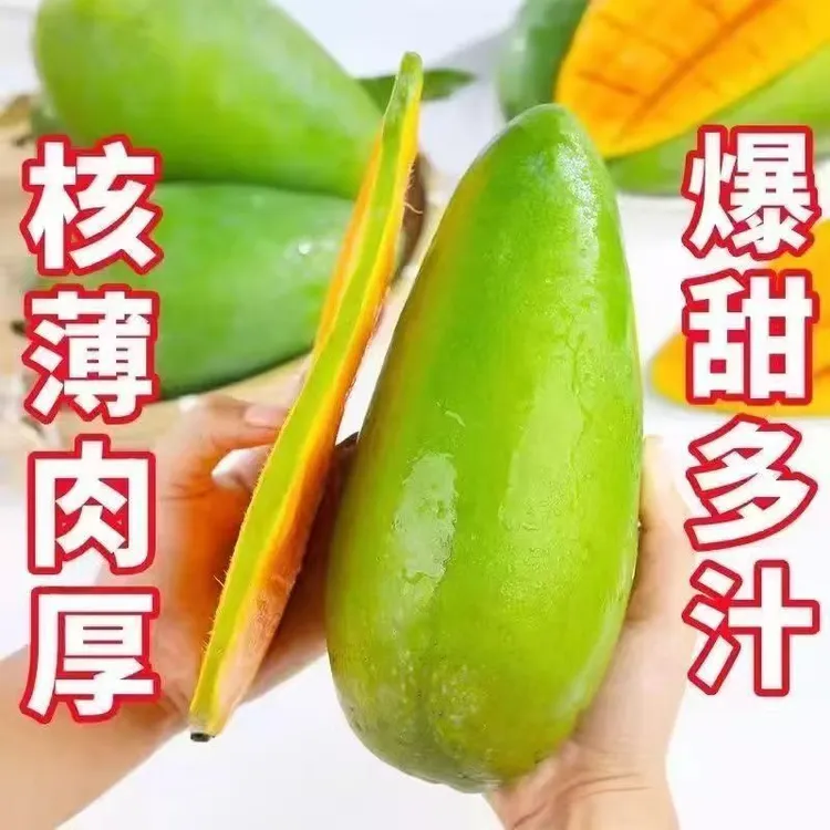 【青黄随机】海南金煌芒当季新鲜芒果5斤甜心大青芒果