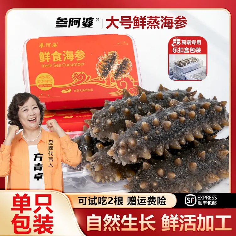 【渔博会专属】参阿婆鲜蒸海参即食新鲜海刺参买20送10头非淡干ZB-S