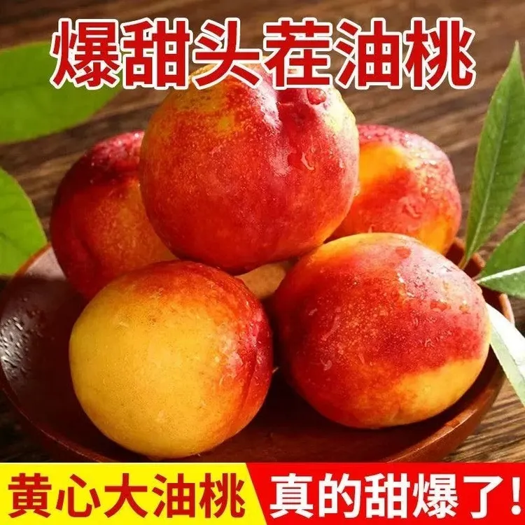 山东露天自然成熟黄肉油桃 9602香山红 源头采发 京东包邮