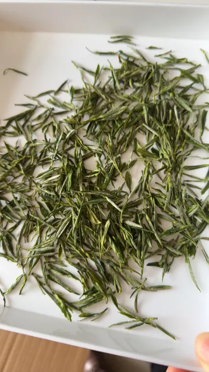 3月29日兰花香高山野茶小嫩芽