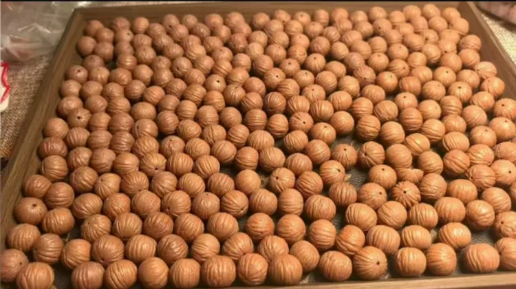 精品猴头土豪散籽各种狠货