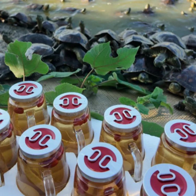 礼盒装龟蛋人参枸杞酒8瓶42度礼盒装