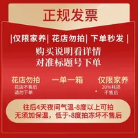 180号发一箱❤←对准号下单鲜花❤快递揽收后不支持退款