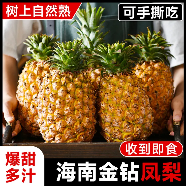 海南金钻凤梨5斤正宗新鲜水果手撕香水菠萝大果无眼脆甜当季特产