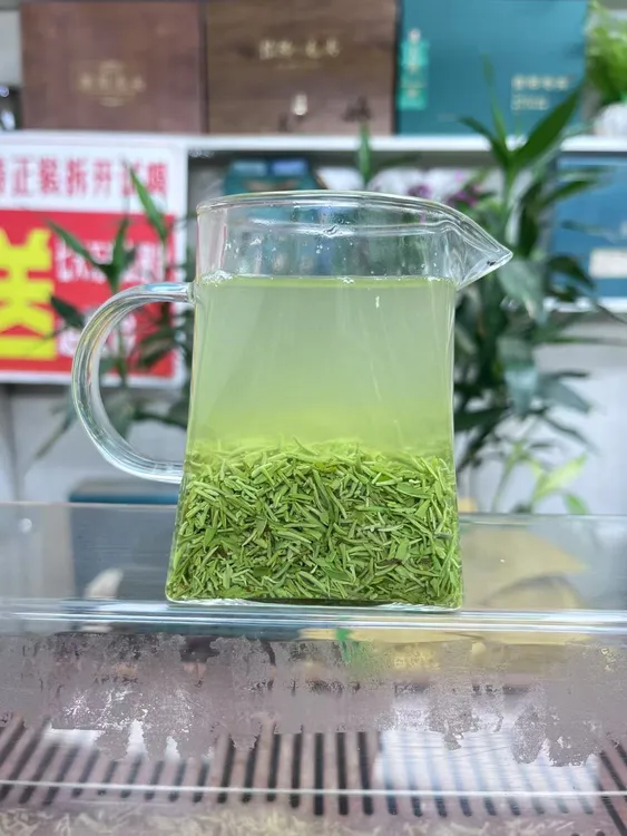 2025年新茶信阳毛尖明前高山断芽
