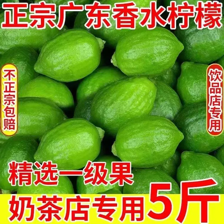 【现摘现发】广东香水柠檬新鲜香柠檬暴打鸭屎香精选奶茶店专用