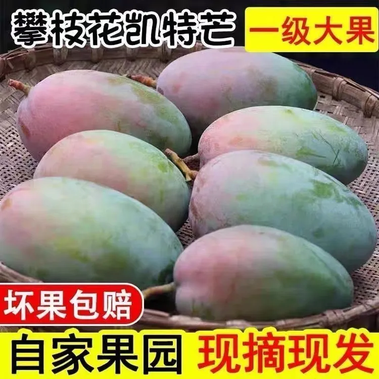 【一级红头果】凯特大芒果爆甜多汁果香浓郁新鲜采摘应季水果