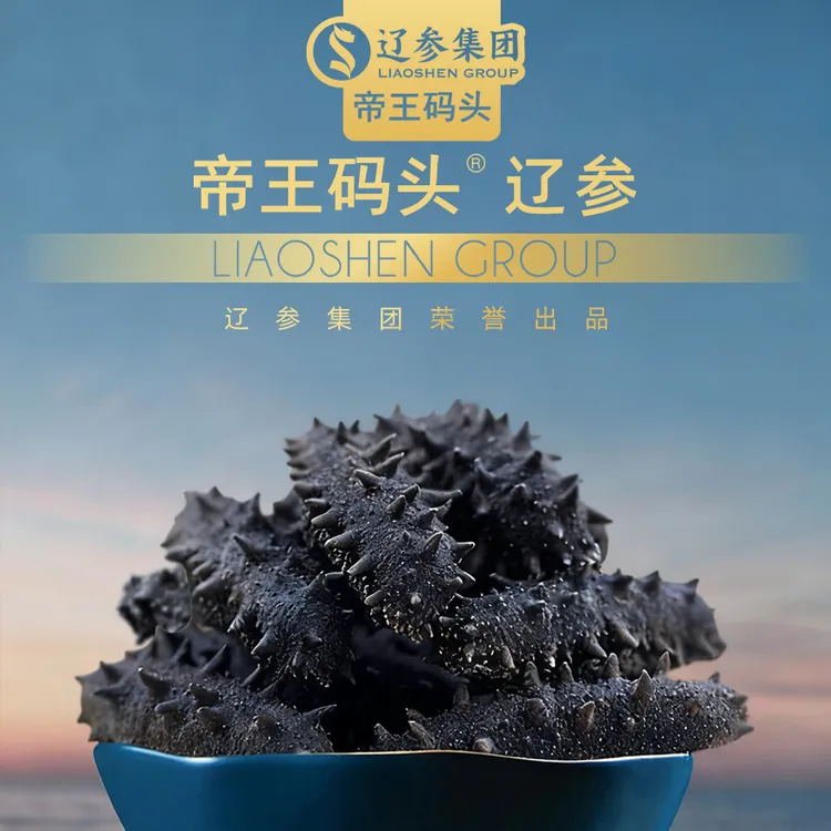 大连精选淡干海参辽参营养滋补品非即食送礼佳品500g新鲜海参