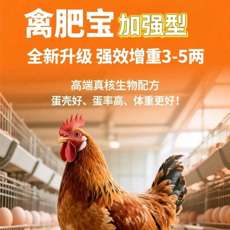 〖禽肥宝·加强型〗全新升级，家禽专业增肥，不影响产蛋