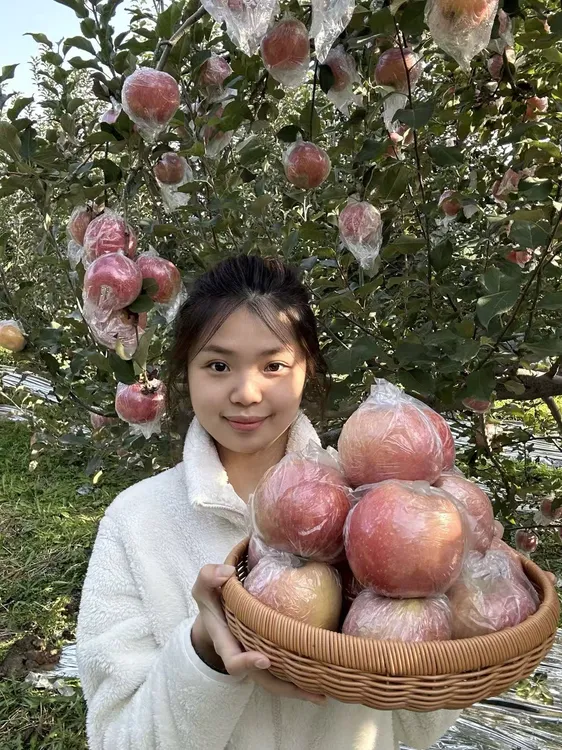 好吃【红富士苹果】山西运城高坡红富士冰糖心丑苹果脆甜新鲜水果