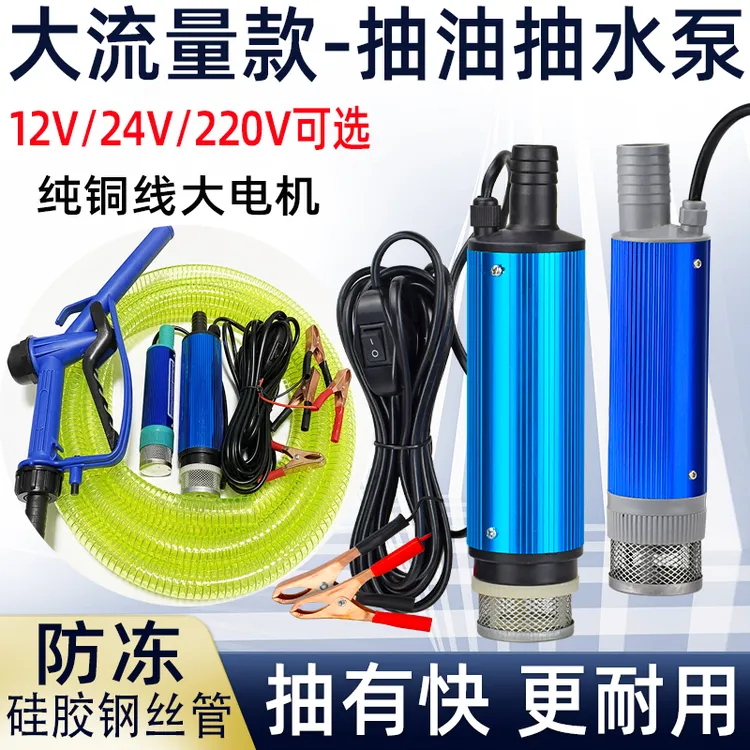 电动抽油泵12V24V220V抽水泵小型抽油神器潜水泵加油机大桶自吸泵