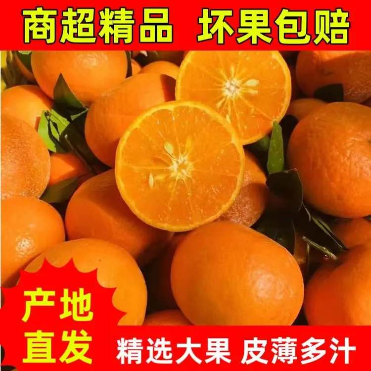 正宗广西武鸣沃柑当季现摘皮薄肉厚爆汁甜新鲜柑橘产地直供包邮