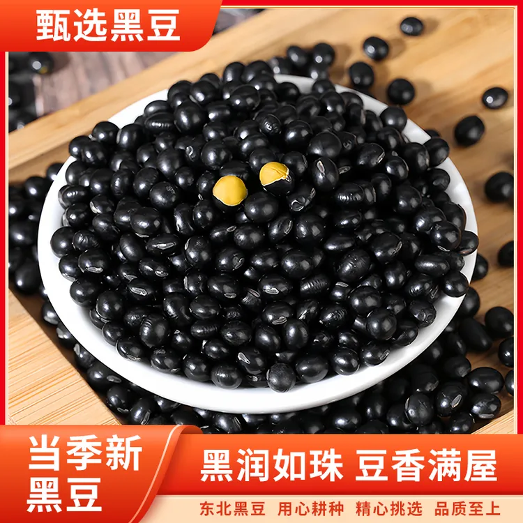 精选东北黑豆打豆浆专用黄芯黑小豆打豆浆醋泡生豆芽