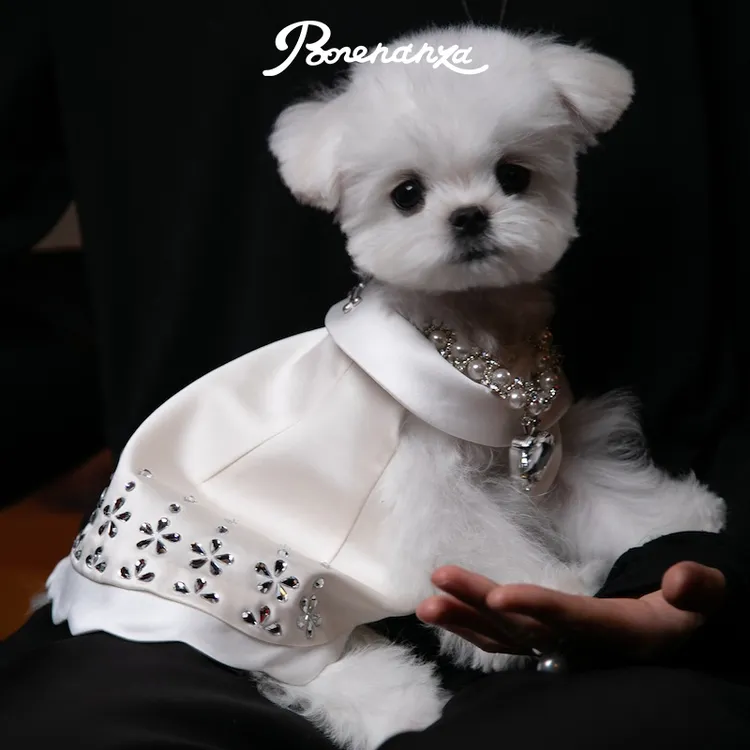 Bonennaza｜Dating滴答夜莺烫钻连衣裙