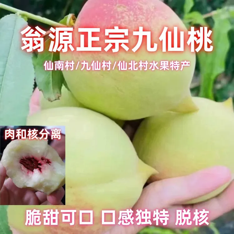 翁源正宗九仙桃爽脆清甜