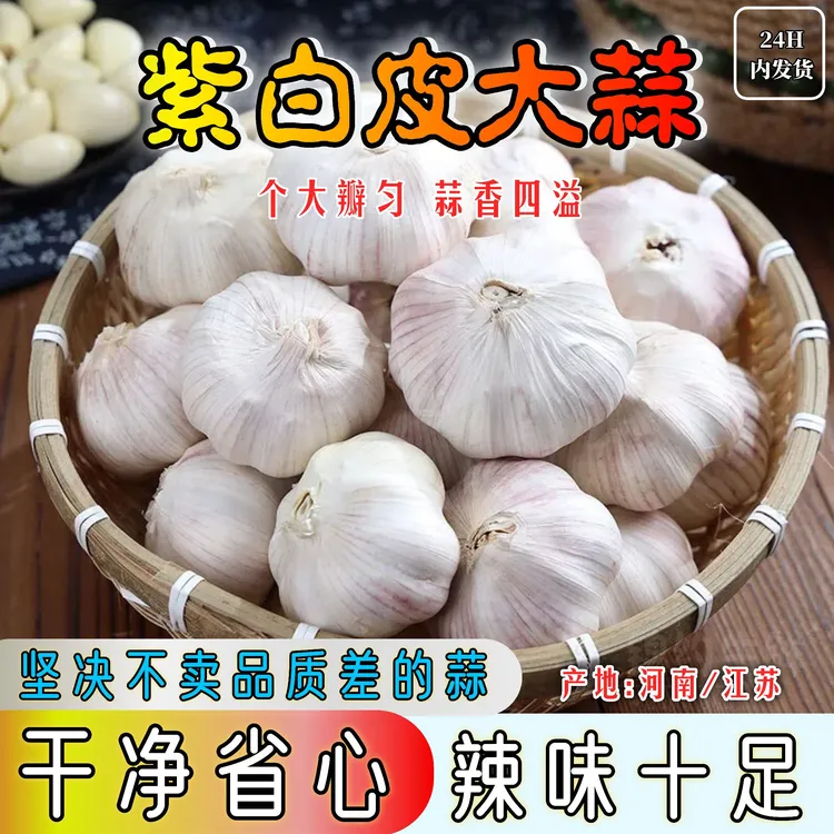 农家自种大蒜头可吃可种新鲜晒干干蒜蒜香味十足紫白皮大蒜