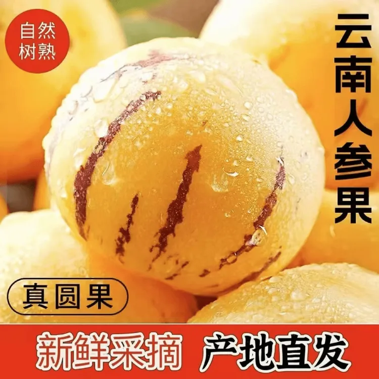正宗新鲜云南石林人参果黄肉黄果特大果应季低糖水果孕妇整箱包邮
