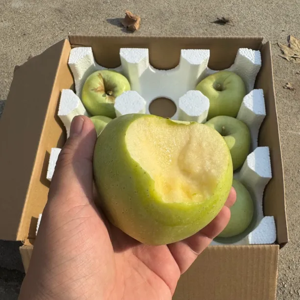 【明月苹果】纸箱装青森水蜜桃明月苹果当季酸甜脆孕妇新鲜时令