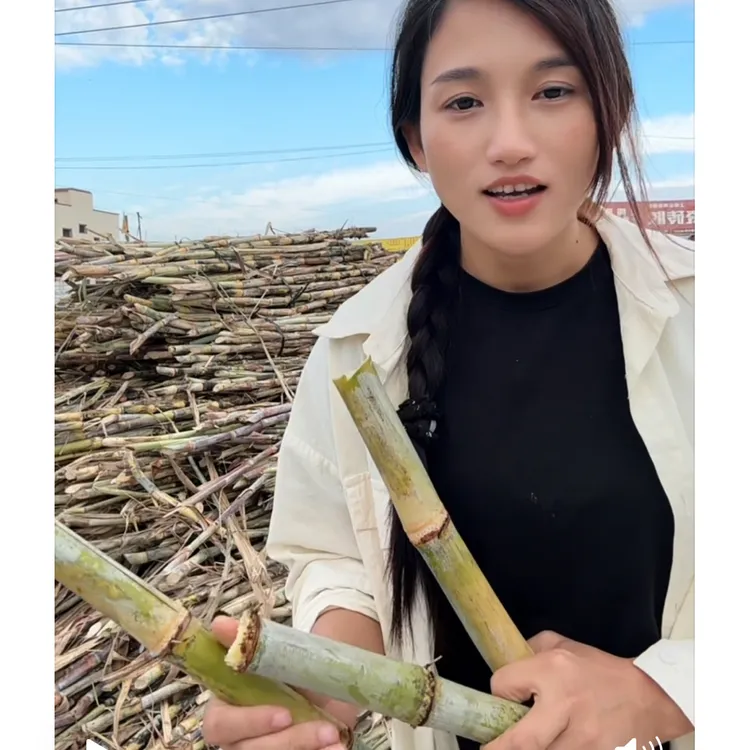 本土纯手工甘蔗红糖  0添加清甜好食