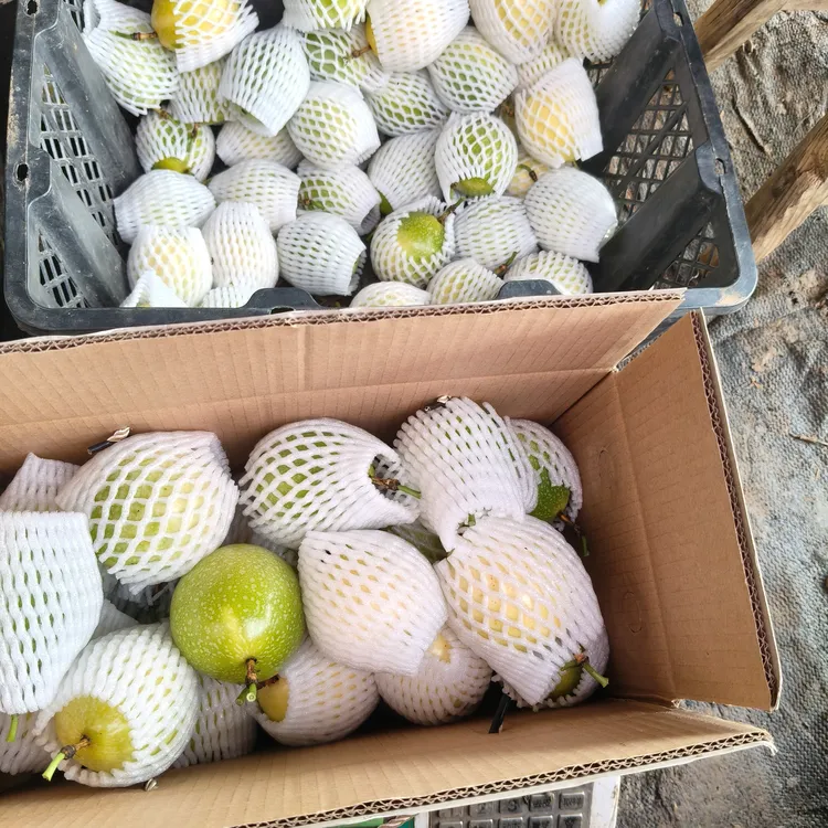 贵州兴义马岭峡谷风景区钦蜜9号百香果新鲜应季水果香甜浓郁