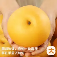 沐川（JD快递）山东莱阳秋月梨新鲜现摘脆甜多汁皮薄肉厚