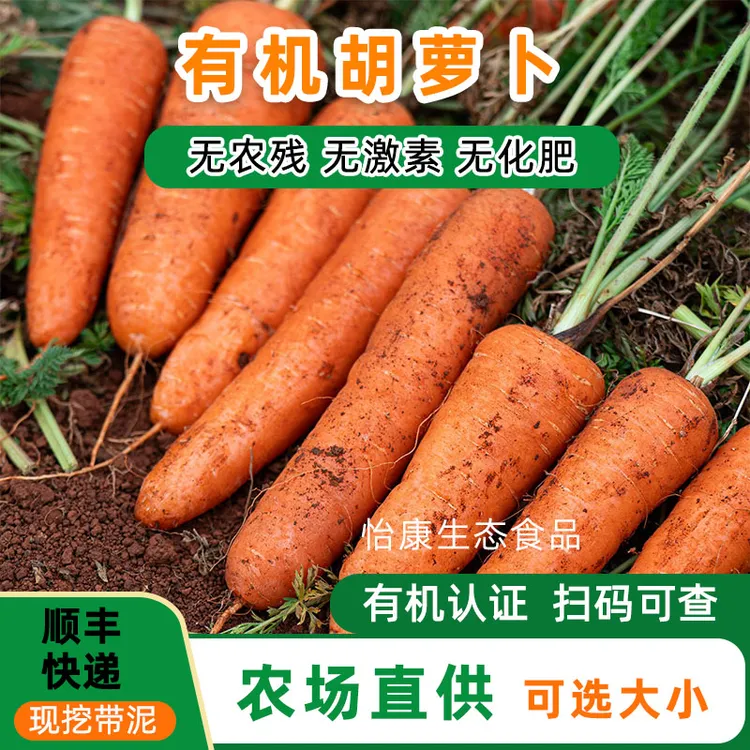 5斤带泥云南有机胡萝卜有机蔬菜红心新鲜无农药榨汁儿童食用1.5斤