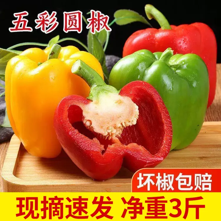 【半价到手3斤】彩椒新鲜生吃水果甜椒蔬菜辣椒批发三色山东原产地