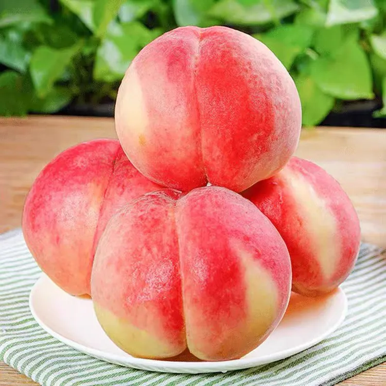 山西新鲜脆蜜桃现摘现发爆甜多汁秦王超越桃产地直达
