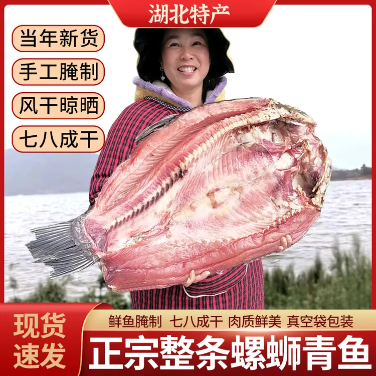 得瑶望【现称现拍】大青鱼咸鱼干批发特产风干腊鱼正宗腌螺蛳青