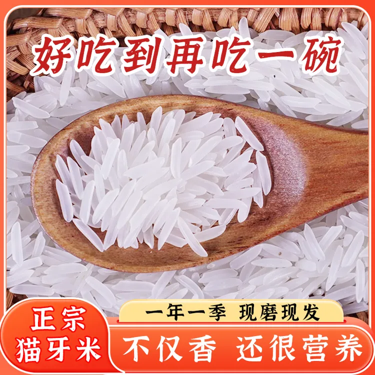 10斤正宗猫牙米25新米长粒香米现磨梯田米不好吃包退孩子爱吃5斤