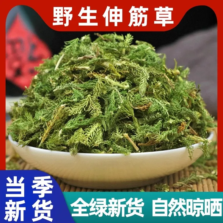 野生伸筋草广西伸筋草海风藤正品无硫干货煮水泡水100g-1000g包邮
