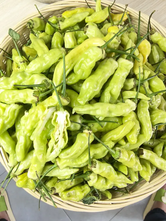 云南特产小米辣小米辣椒新鲜小米椒小米椒野山椒辣椒新鲜