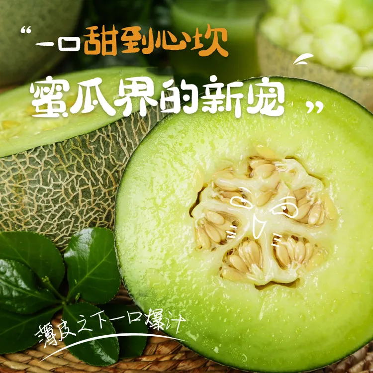 【现采现发】沙地玫珑瓜静冈蜜瓜新鲜采摘水果产地直发当季新鲜水果