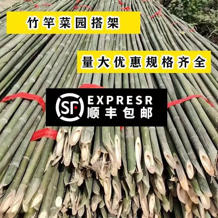 2米豆角架杆豆角搭架专用杆菜园搭架爬藤杆小竹杆