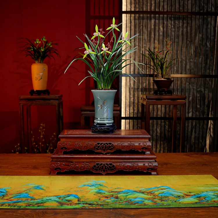 春兰铭品【西施】浓香型兰花 景德镇汝窑冰裂纹 陶瓷盆