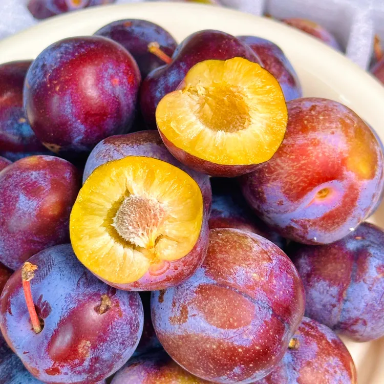 四川汶川高山脆红李新鲜现摘脱骨脆甜多汁当季水果 m