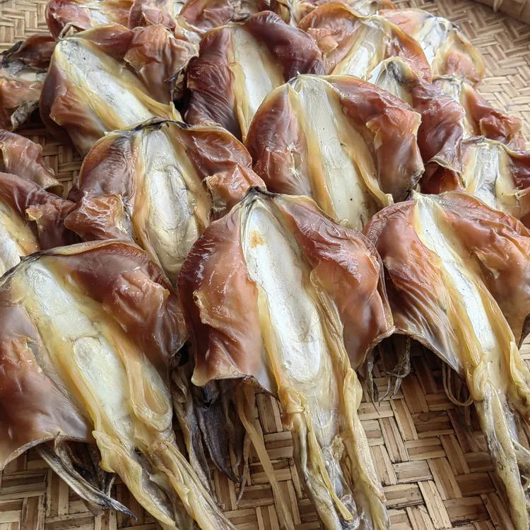 湛江特产船晒血墨鱼海鲜干货