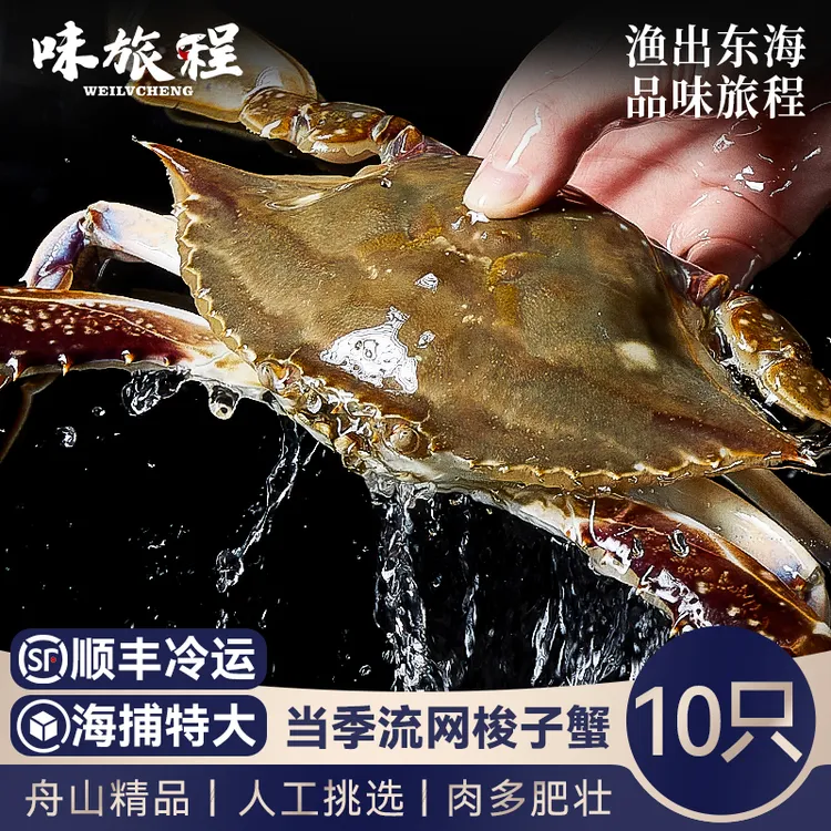 舟山梭子蟹3-4两10只鲜活冷冻海鲜公蟹螃蟹水产飞蟹肉蟹3斤【冻蟹】