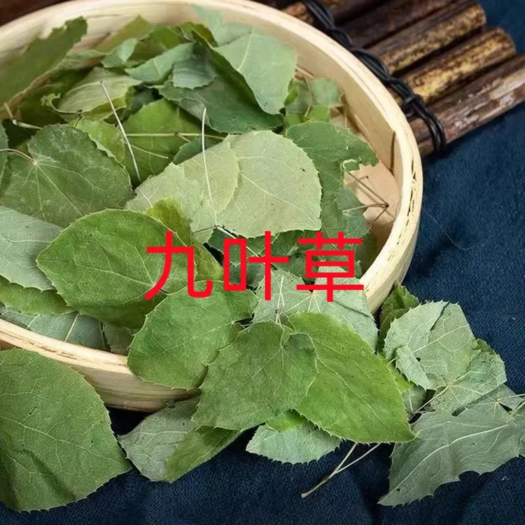 【九叶草】整片纯叶子干货可泡可煮可8+1可搭配枸杞，黄芪效果更好