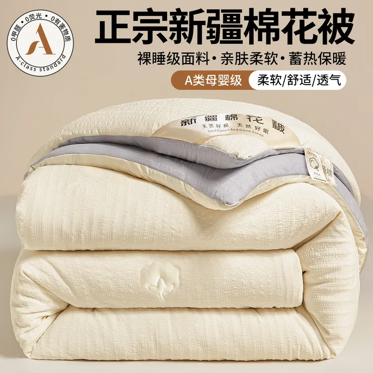 2025新款被子春秋空调被家用被褥冬季学生宿舍单人加厚保暖冬被