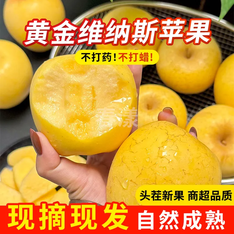 【黄金维纳斯】正宗山东烟台维纳斯苹果当季水果脆甜多汁现摘现发1