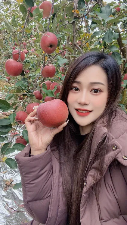 昭通冰糖心丑苹果脆甜多汁冰糖心苹果