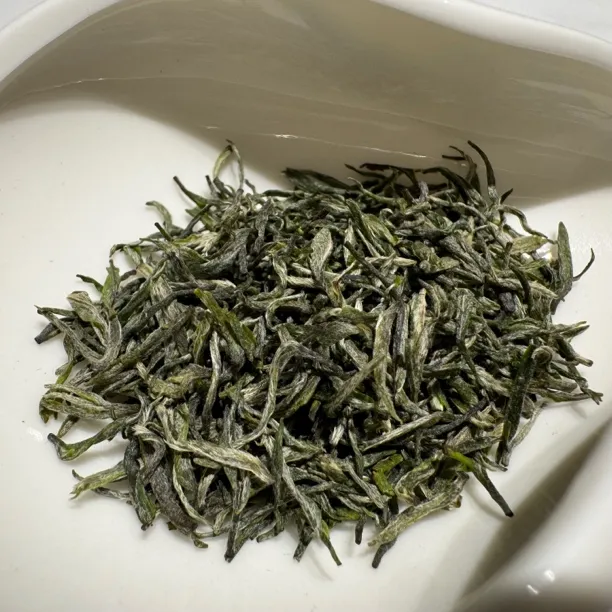 2025年信阳毛尖头采【米芽】100克群体种旱茶土门毛尖