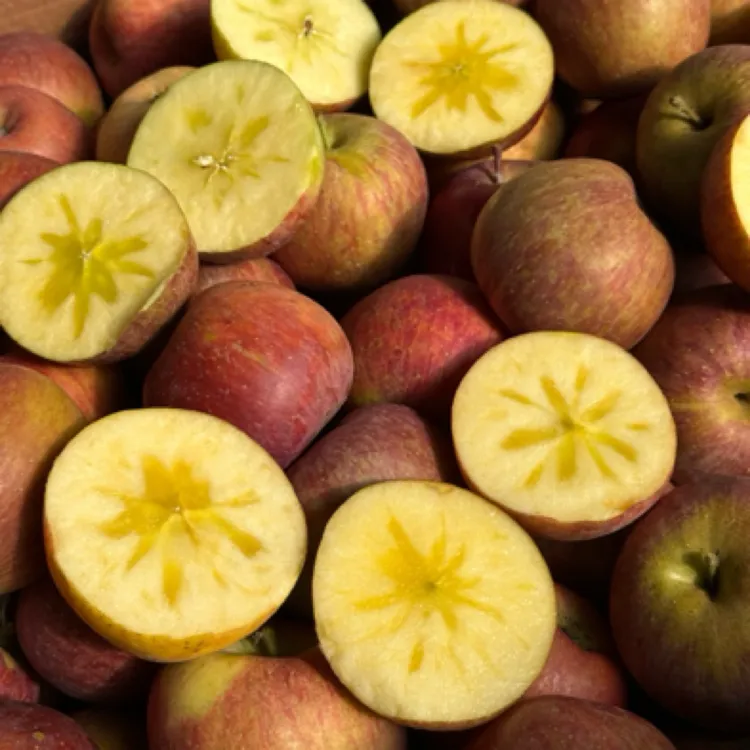 大凉山盐源高原溏心丑苹果正宗糖心高山现采丑苹果鲜果直发