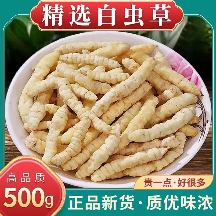 高山高海拔白虫草（500克）泡水