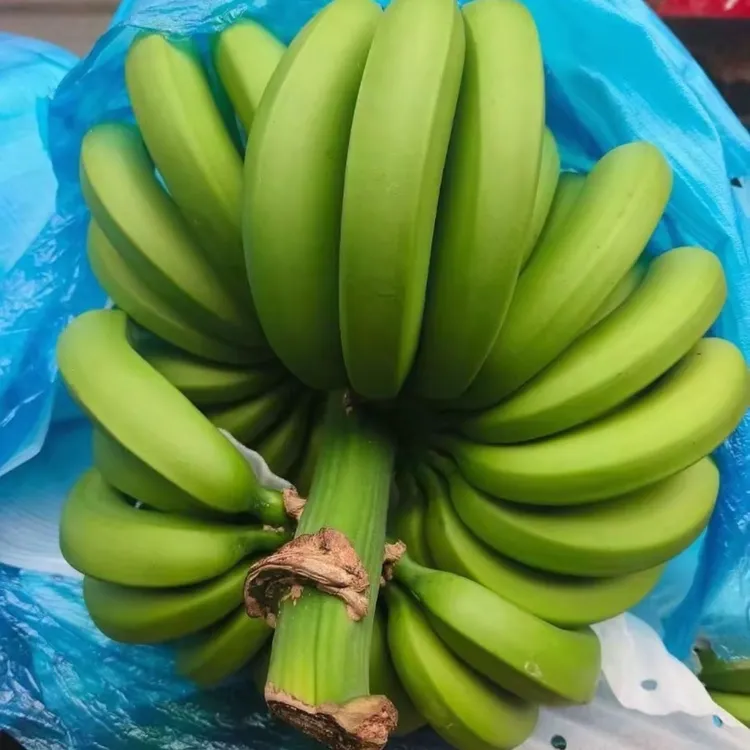 云南高山香蕉新鲜现摘自然熟香甜软糯水果